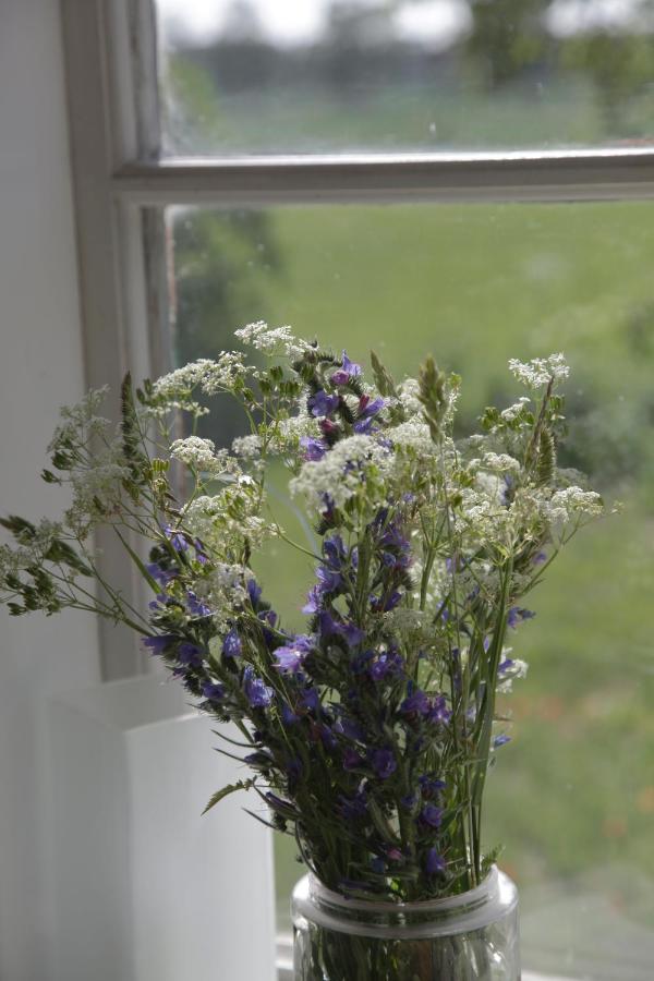 Bed and Breakfast Stora Mellings Gard Klintehamn Esterno foto